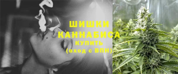 индика Зерноград