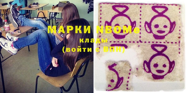 прущий лед Инсар