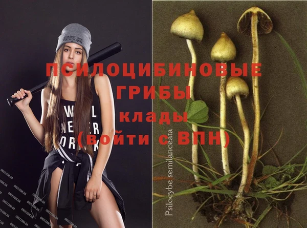 прущий лед Инсар