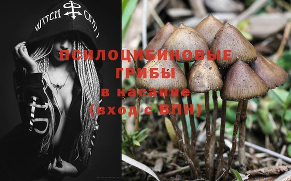 эйфоретик Зеленокумск