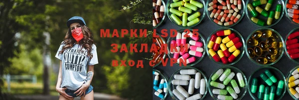 индика Зерноград